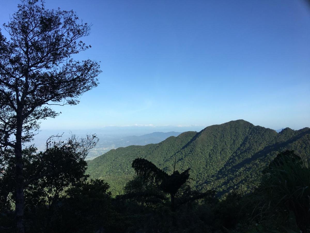찬 마이 호텔 탐다오 Tam Ðảo 외부 사진